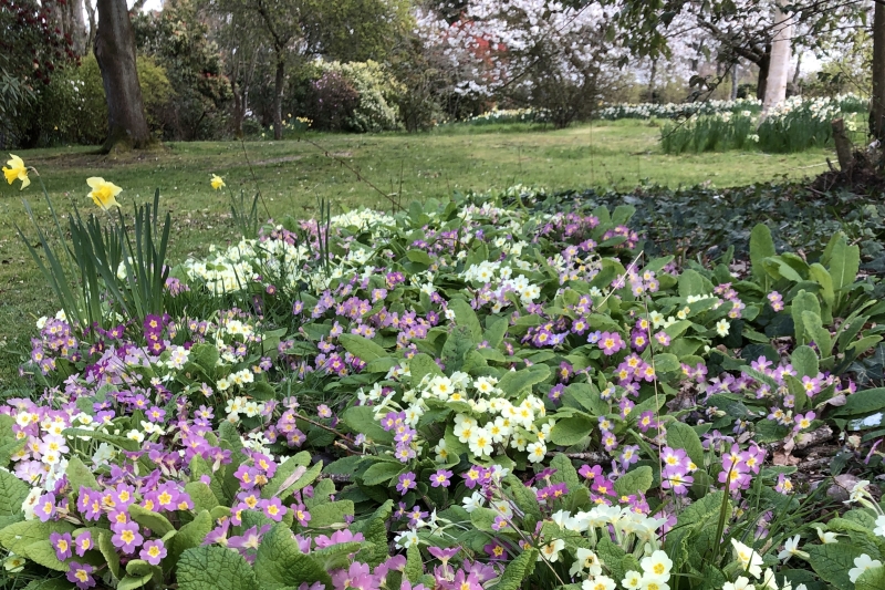 Lepe House Gardens